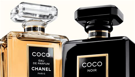 What Is the Difference Between Coco Noir and Coco 